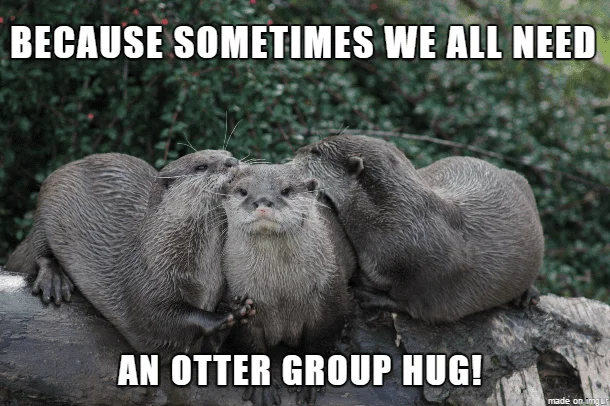An otter group hug Otter Meme