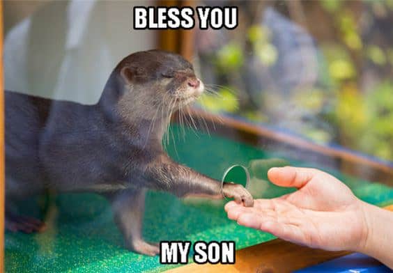 Bless you Otter Meme