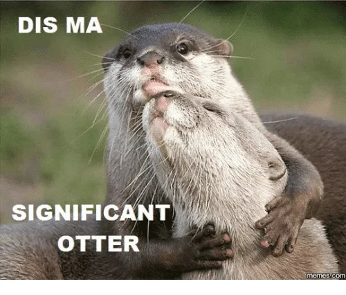 Dis ma significant Otter Meme