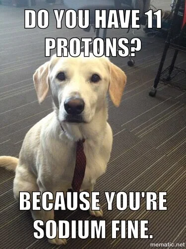 Do you have 11 protons Flirty Meme