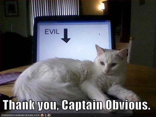 Evil cat Captain obvious Meme