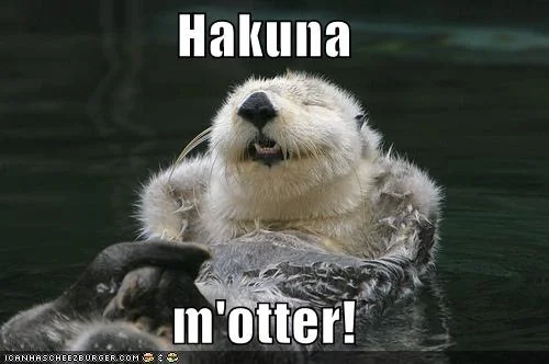 Hakuna Otter Meme