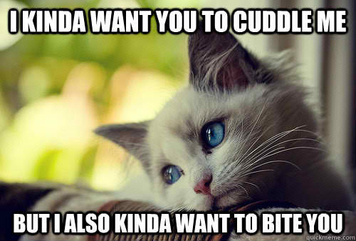 cuddle meme