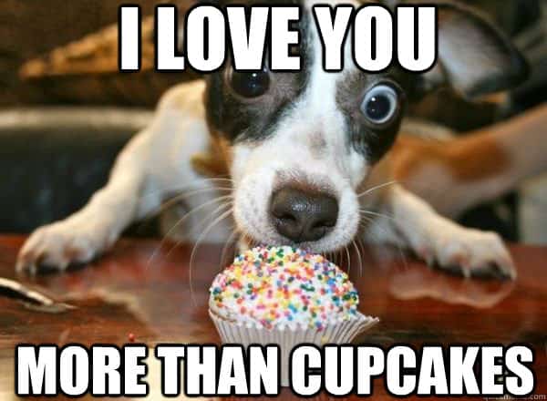 70 Funny I Love You Meme SayingImages