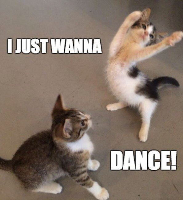 21 Really Funny Dance Memes You'll Surely Have A Good Time Seeing