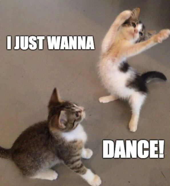 I just wanna Dance Meme