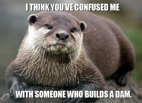 I think you've confused Otter Meme