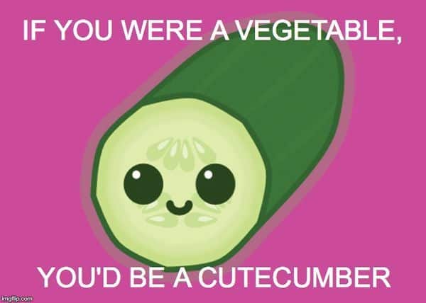 If you are vegetable Flirty Meme