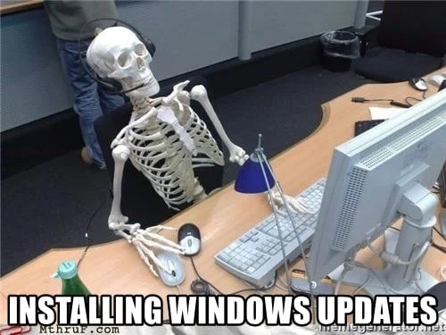 Installing window updates Skeleton Memes
