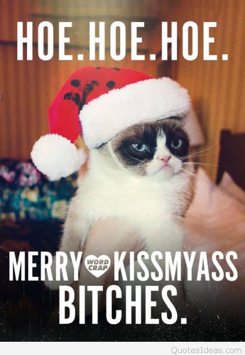 Merry kiss my ass Merry christmas Meme