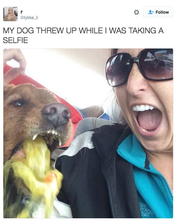 My dog throw up Vomit Meme