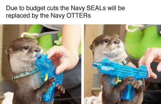 Navy Otter Meme