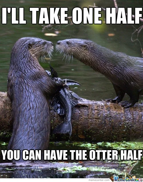Otter half Otter Meme