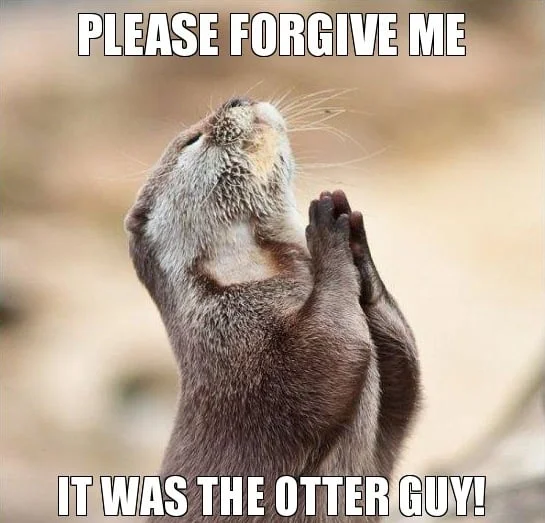 Please forgive me Otter Meme