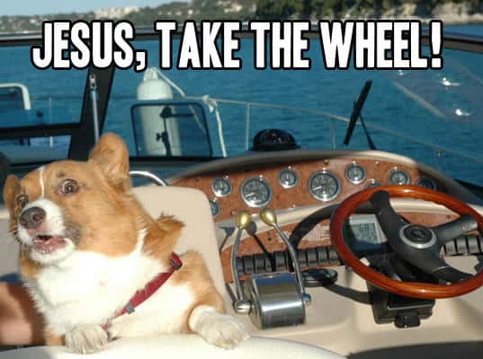 Scared dog Jesus take the wheel Meme