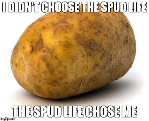 30 Potato Memes That Are Guaranteed To Make Your Day - SayingImages.com