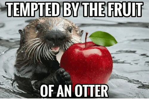 Tempted by the fruit Otter Meme