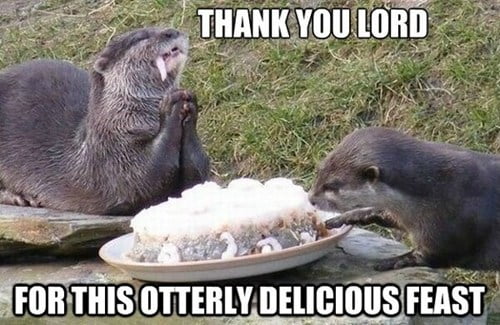Thank you lord Otter Meme