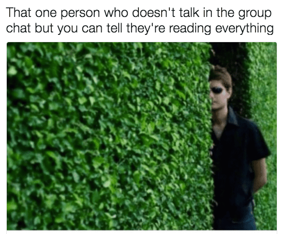 That one person who doesn't talk Group chat Meme