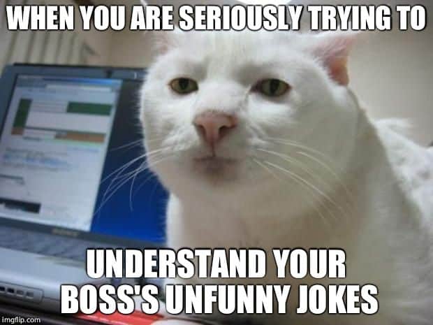 Trying to understand boss Not funny Meme