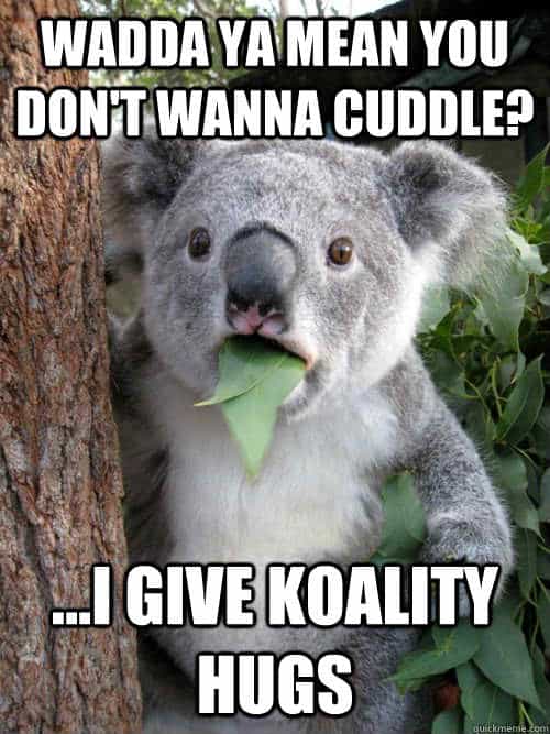 25 Cutest Cuddle Memes Sayingimages Com