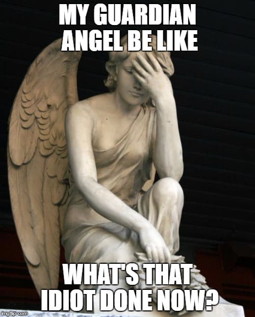 What did that idiot do Angel Meme