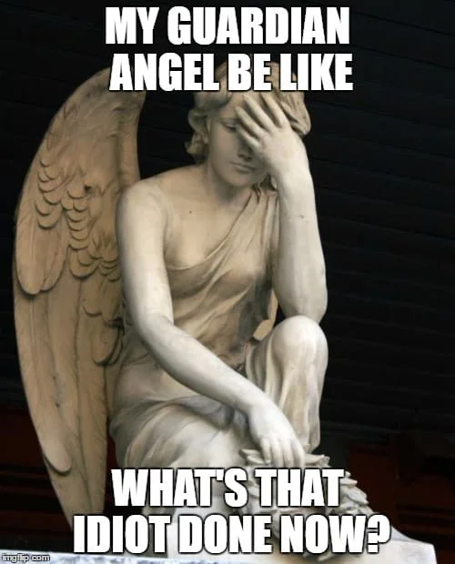 What did that idiot do Angel Meme