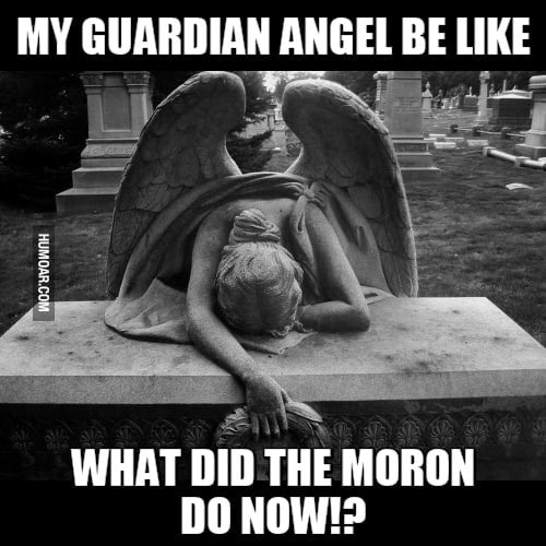 What did that moron do Angel Meme