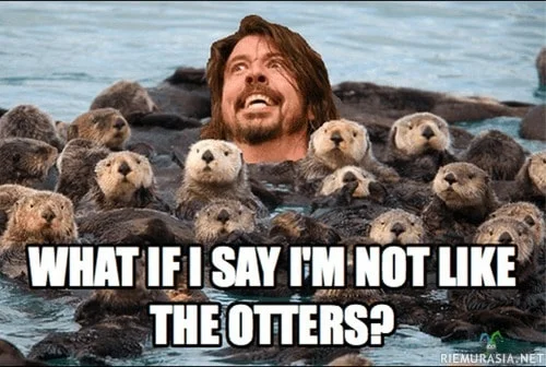 What if i say Otter Meme
