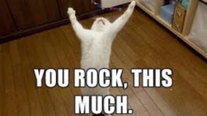 25 Memes To Say "You Rock!" - SayingImages.com