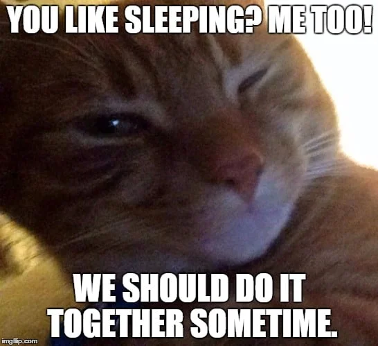 You like sleeping Flirty Meme