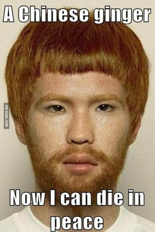 Ginger Meme