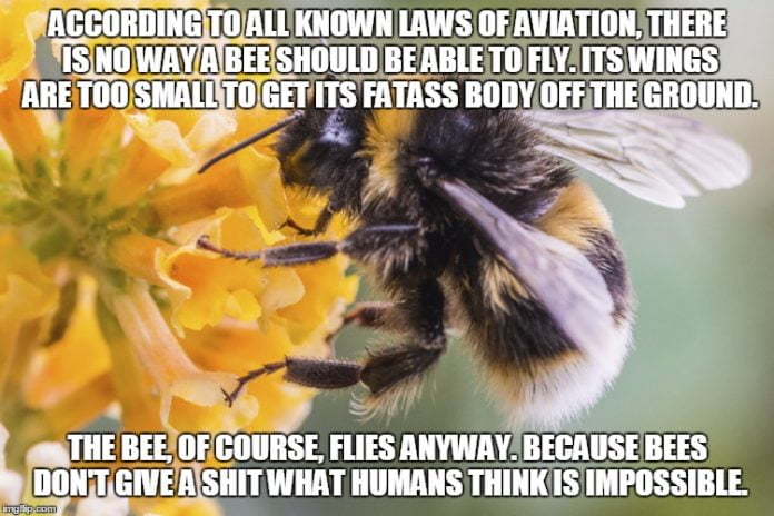 20 Entertaining Bee Memes You Just Can't Ignore - SayingImages.com