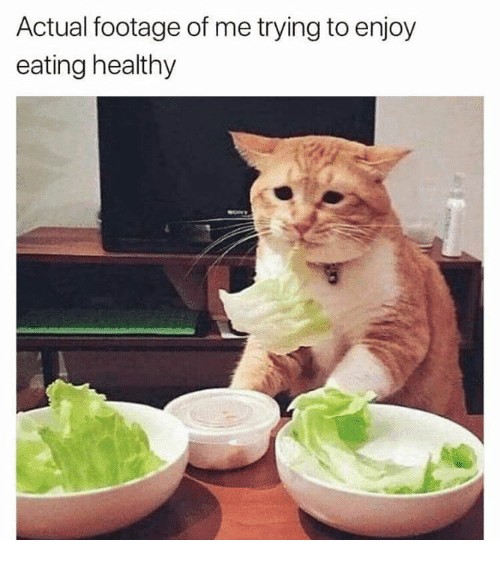 20 Funny Life Changing Eating Healthy Memes - SayingImages.com