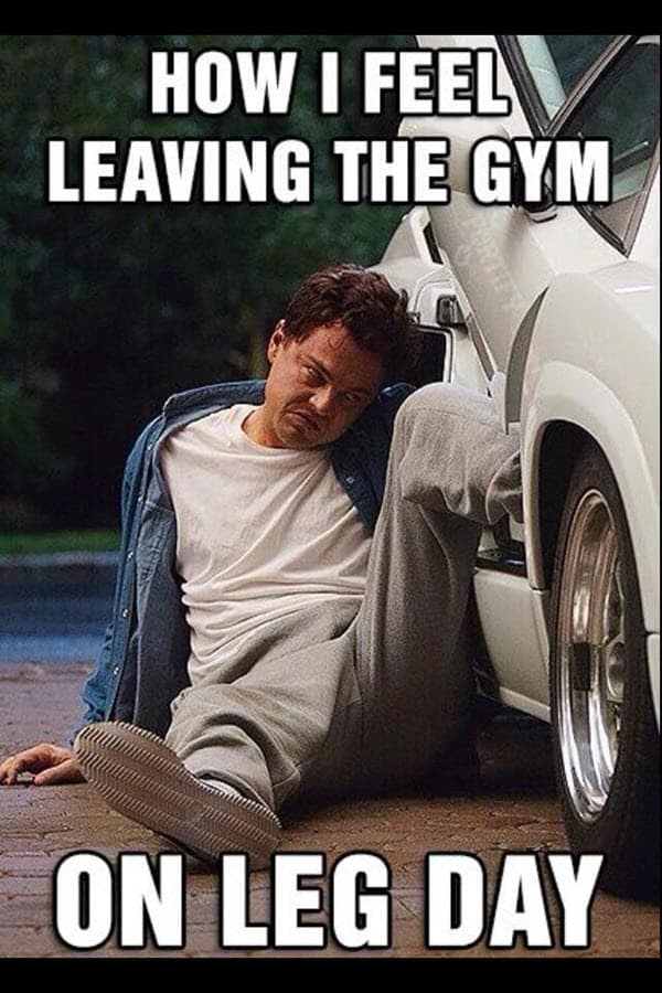 after how i feel on leg day meme