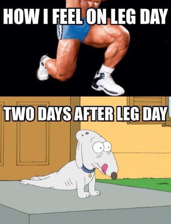 after leg day how i feel meme