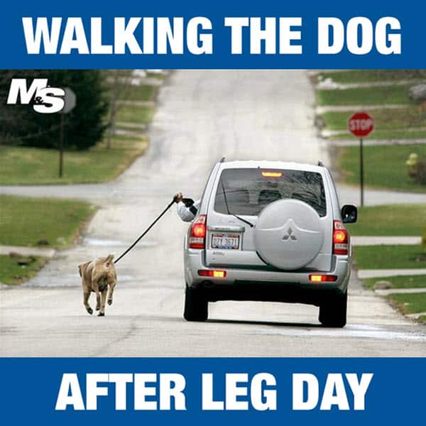 after leg day walking the dog meme