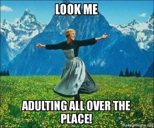 25 Funny Adulting Memes For Panicking Grown Ups - SayingImages.com