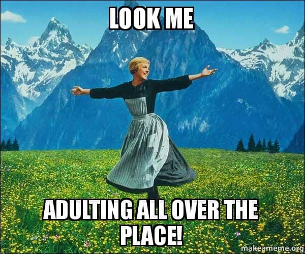 25 Funny Adulting Memes For Panicking Grown Ups - SayingImages.com