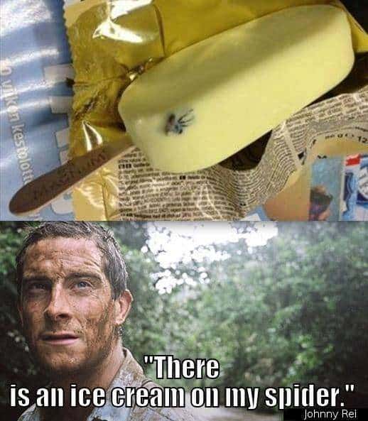 30 Bear Grylls Memes That Are Just So Hilarious | SayingImages.com