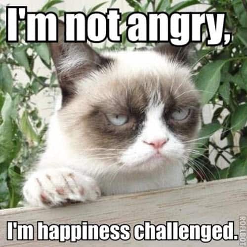 25 Angry Memes That Can Help You Laugh Away Your Anger SayingImages