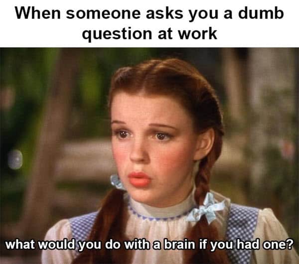 annoyed dumb question at work meme