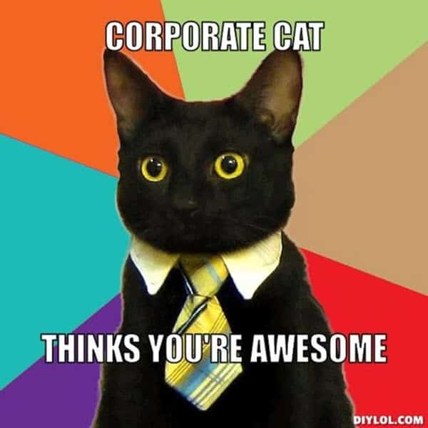 awesome corporate cat meme