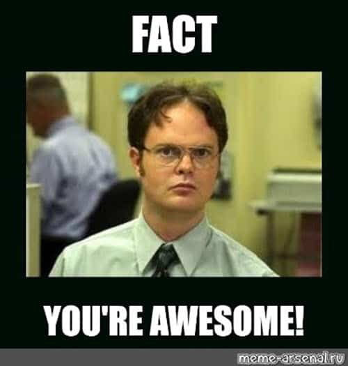 You Are Awesome Meme