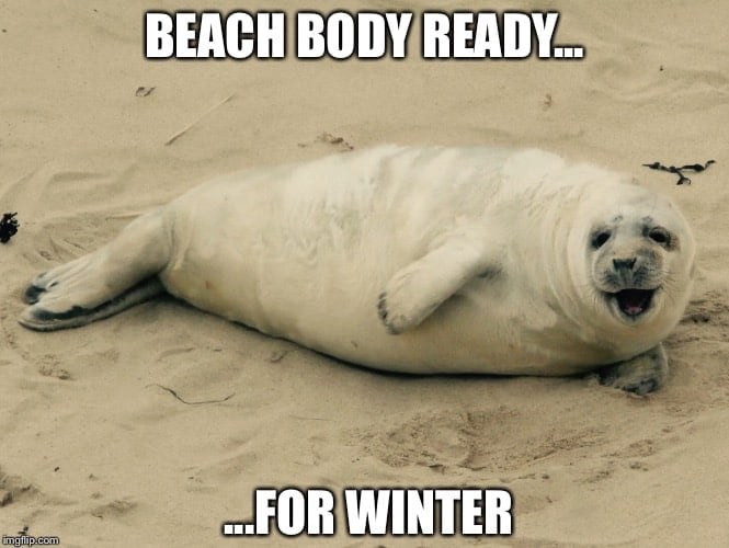 25 Hot And Hilarious Summer Body Meme | SayingImages.com