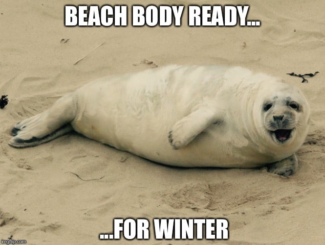 25 Hot And Hilarious Summer Body Meme Sayingimages Com