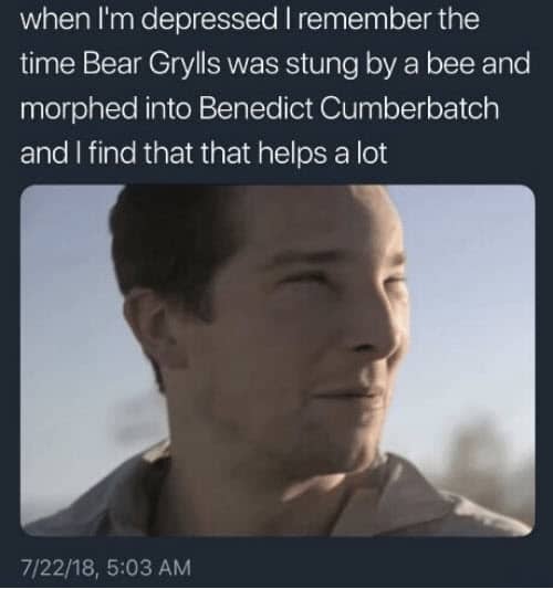 bear grylls depressed meme