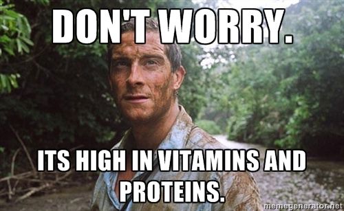 bear grylls dont worry meme