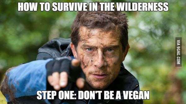 bear grylls how to survive meme