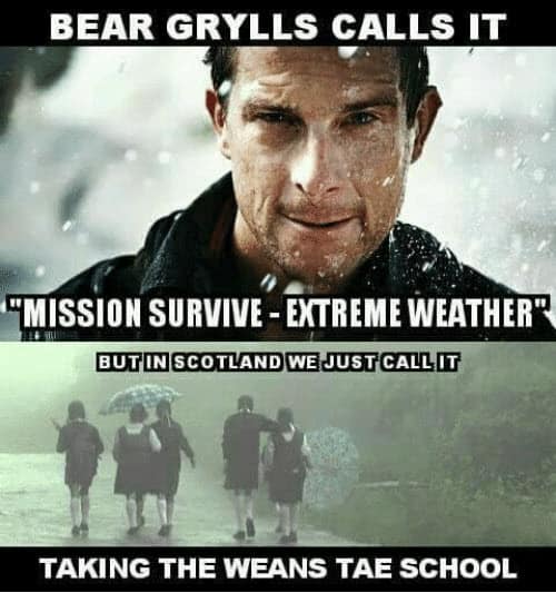 bear grylls mission survive meme